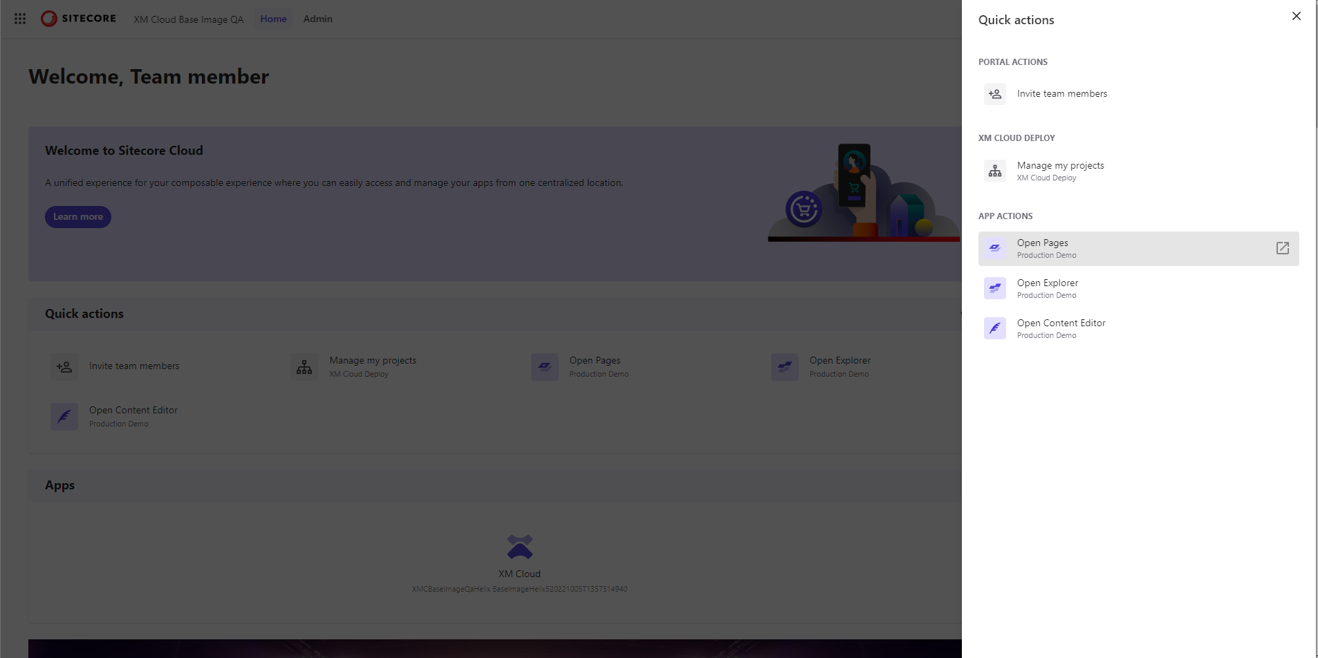 The Quick actions pane.